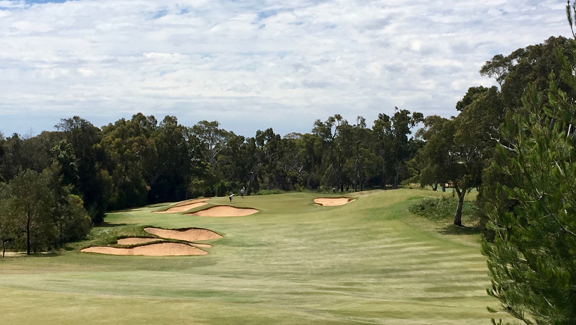 Kooyonga GC- the approach to the 4th hole