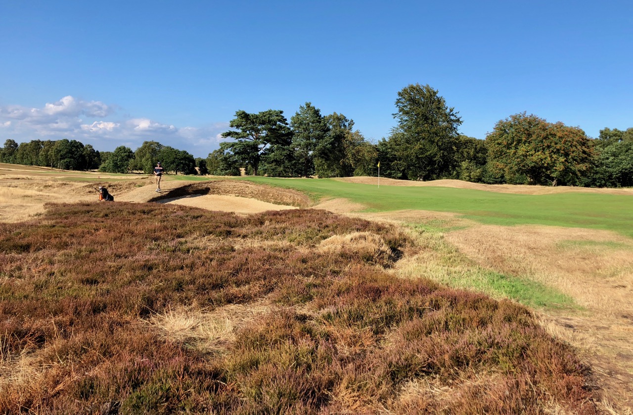 Walton Heath GC- Old Course- hole 12