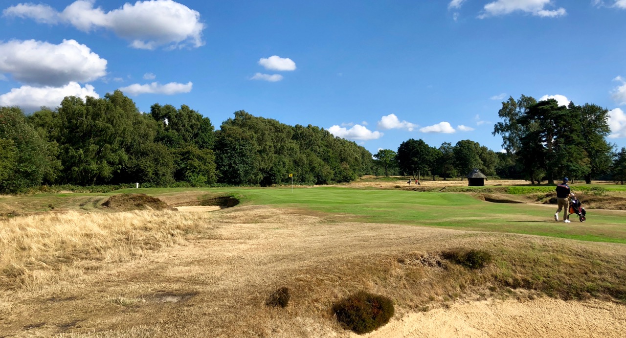 Walton Heath GC- Old Course- hole 5