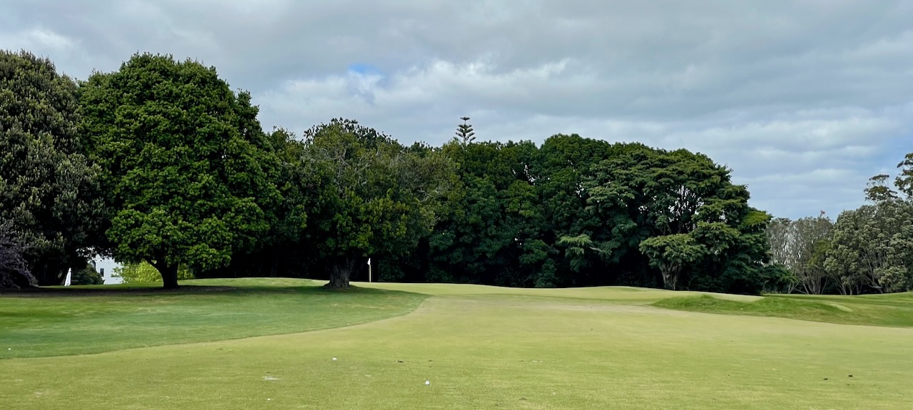 Royal Auckland & Grange GC- MIddlemore Course, hole 4 approach